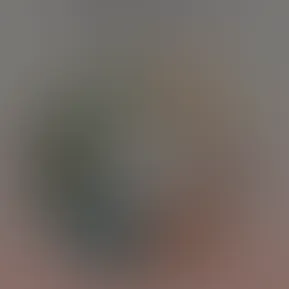 1000071917.jpg