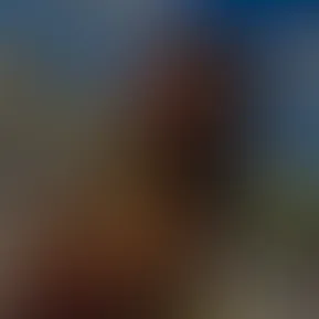 what should i start posting?