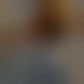 MTVideo.mp4