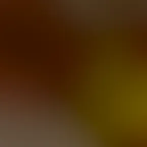 recorded-11346393491022.mp4
