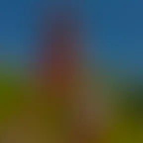 71E85E59-C9C3-4C2F-9424-21A45025EE04.jpg