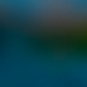 Capture.jpg