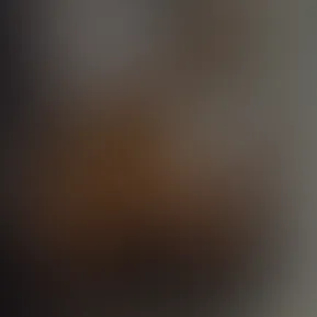 FullSizeRender.MOV