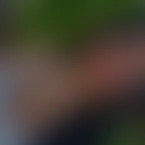 8677679f2a6441038e9267338c61d466.mov