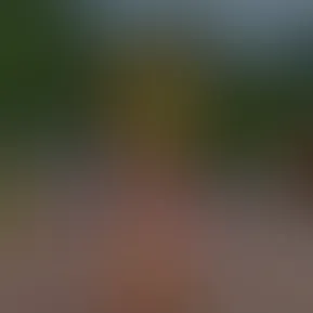 412541278_18374748631074852_6099292009965062876_n.jpg