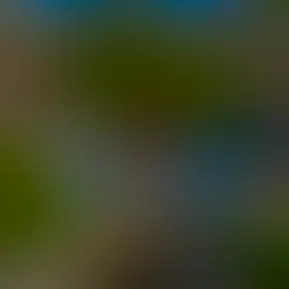 B8AB5E98-3D57-4300-B0AF-D4FD0AE14B57.jpg