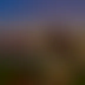 2026-03-16 15.40.20.mp4