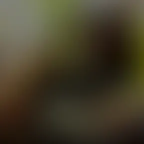 FullSizeRender.MOV