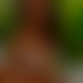 C0484.mp4