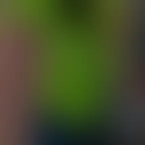 snapchat-2066999489.mp4