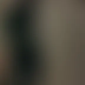 d78b5b1145cb46158e37df72078271fe.mov