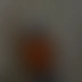 Screenshot 2024-07-02 at 11.32.23 AM.png