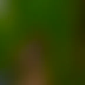 20250225144208467.jpg