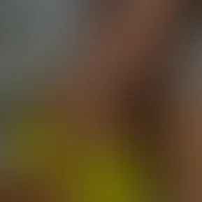 copy_bb6996e3-bb3b-4161-b757-dcc20f9d2eee.mov
