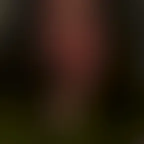 fans-3.mp4