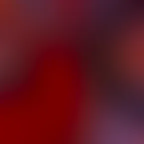 Alexa5.jpg