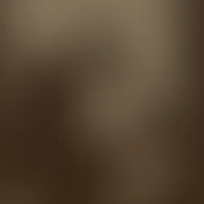 🤍