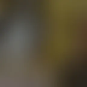 magic part 3.mov