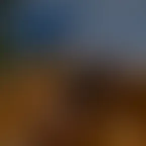 video-output-5D99B7B0-C506-4F16-9E79-D46672BE9C69.mov
