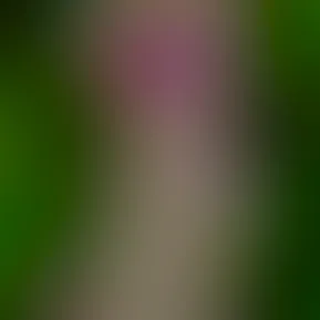 9bcc357d-e4e3-490b-aa32-032e7c06f410.jpg