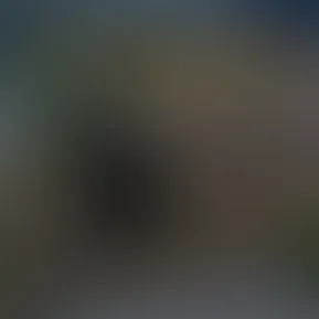 1000070194.jpg
