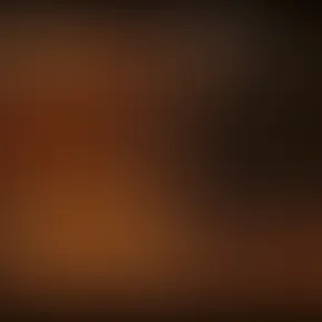 videoplayback (4).mp4