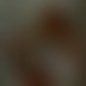 imagem do whatsapp de 2025-11-03 à(s) 16.13.42_9c416c92.jpg