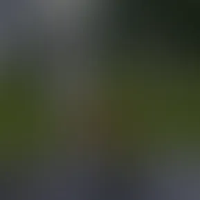 0fc2f2c9-4387-419c-b1d8-b19717f34be0.mp4