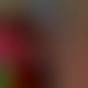 Alexa3.jpg