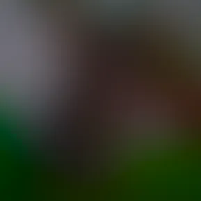 5122437694748292172.jpg