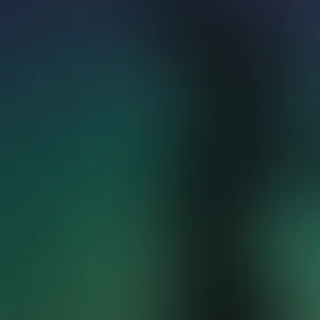 Art.