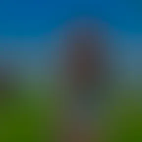 facetune_12-02-2026-01-47-19.jpg