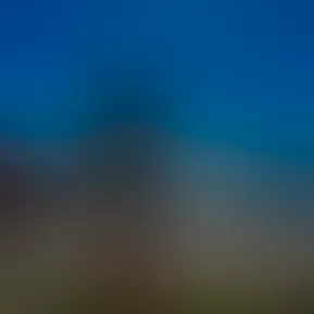 🤠