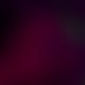 img_1009.mp4