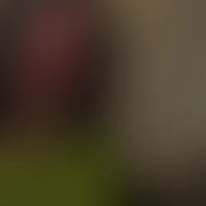 fans-4.mp4