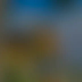 Facetune_09-09-2024-02-58-21.jpg