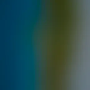 copy_f0c173b5-a883-4142-80b8-e8d9e0be2275.mov