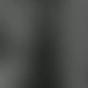copy_23b14e05-bc0f-4d37-8beb-9723771de995.mov