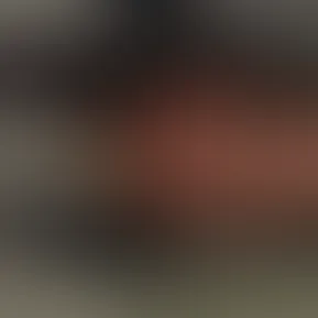 export.mov