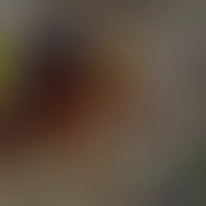 1e6774c6987c4d7b81a86cefb7c5244b.mov