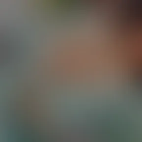 filtered-C1A256B5-BBA7-4AC3-80E8-5D159C6C94B0.mp4