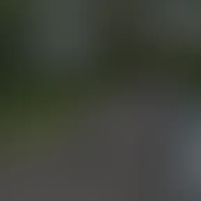 C438C2E3-43DC-44D9-98AF-691F059CE684.mp4