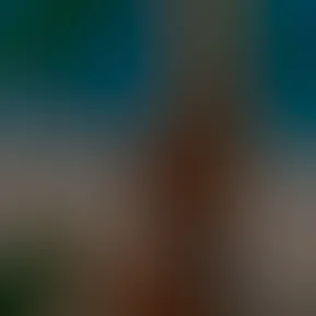 facetune_02-04-2026-19-24-12.jpg