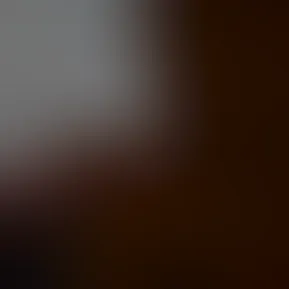 1000000078.mp4