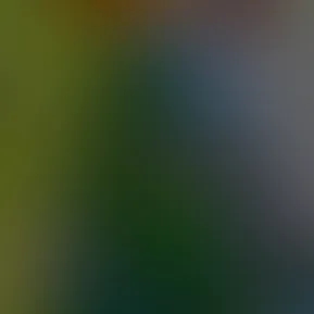 1000070830.jpg