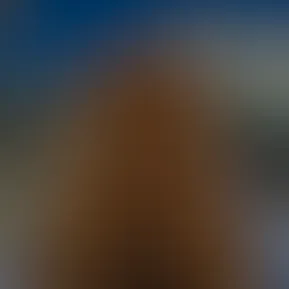 img_7771.heic