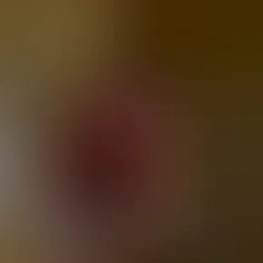 img_1921.mp4