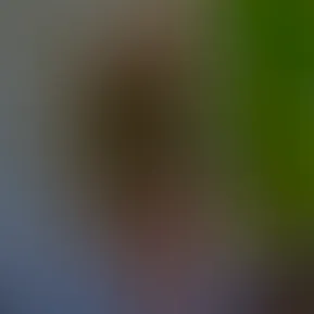 facetune_17-03-2025-15-53-18.heic