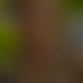 facetune_29-06-2026-15-22-09.jpg