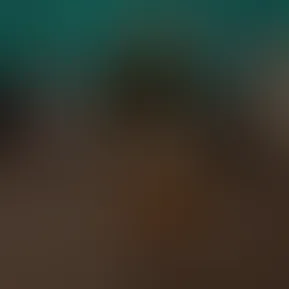Everyone go follow my new TikTok to see me go live all the time! @notalyssasleary